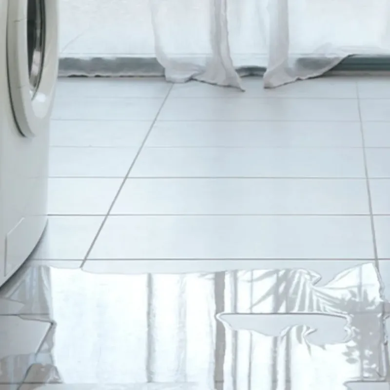 Appliance Leak Cleanup in Elmwood, IL
