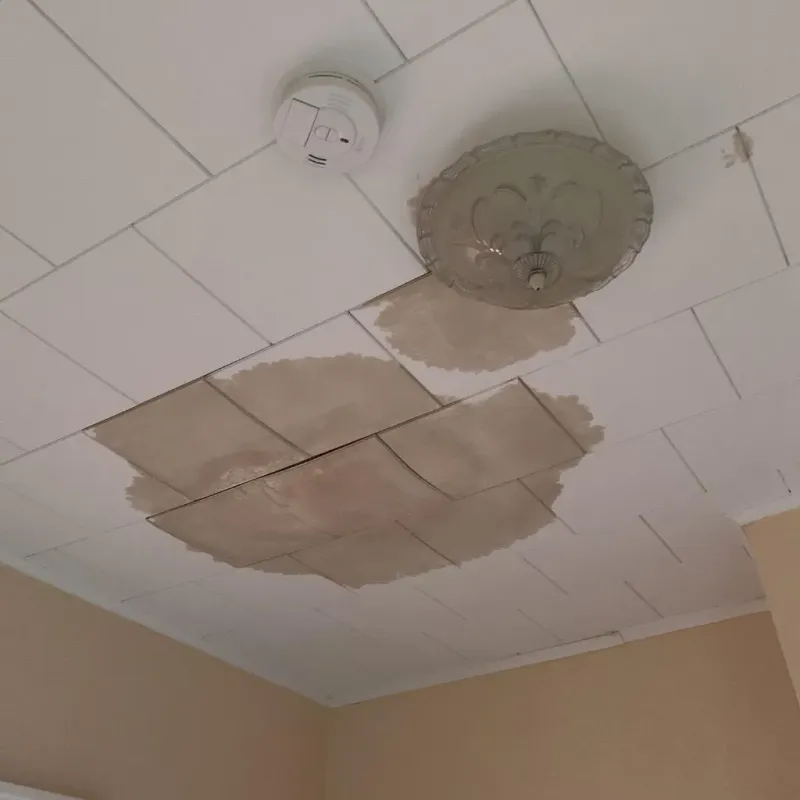 Ceiling Water Damage Repair in Elmwood, IL