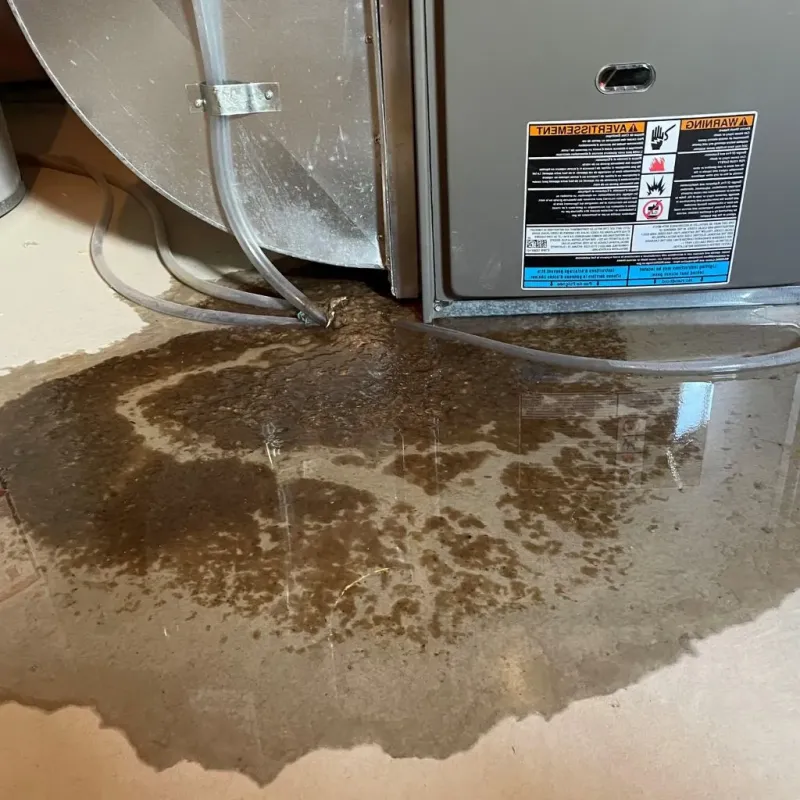 Pipe Burst and Leak Restoration in Elmwood, IL
