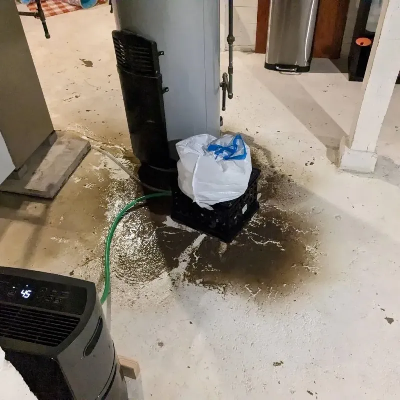 Sewage Backup Cleanup Service in Elmwood, IL
